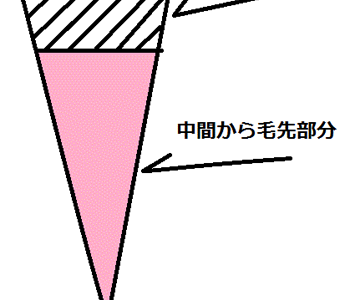 なぜ、美容室ウプスでは根元と毛先でカラーを塗り分けているのか？