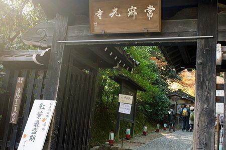 京都・紅葉の名所！晩秋の常寂光寺に行ってきた。