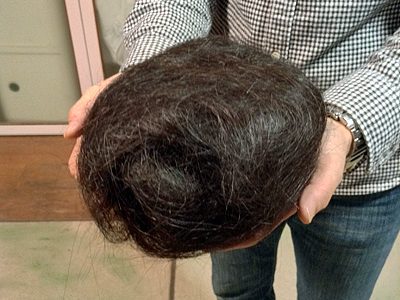 髪の毛は何から出来ているのか？ってまじめに考えたブログ。
