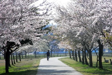 2014年の「今日もサロンが俺を呼ぶ」を振り返ってみました。その１。１月～６月の注目エントリー。