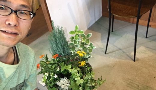 超簡単、裏技で寄せ植えを作ってみよう！！