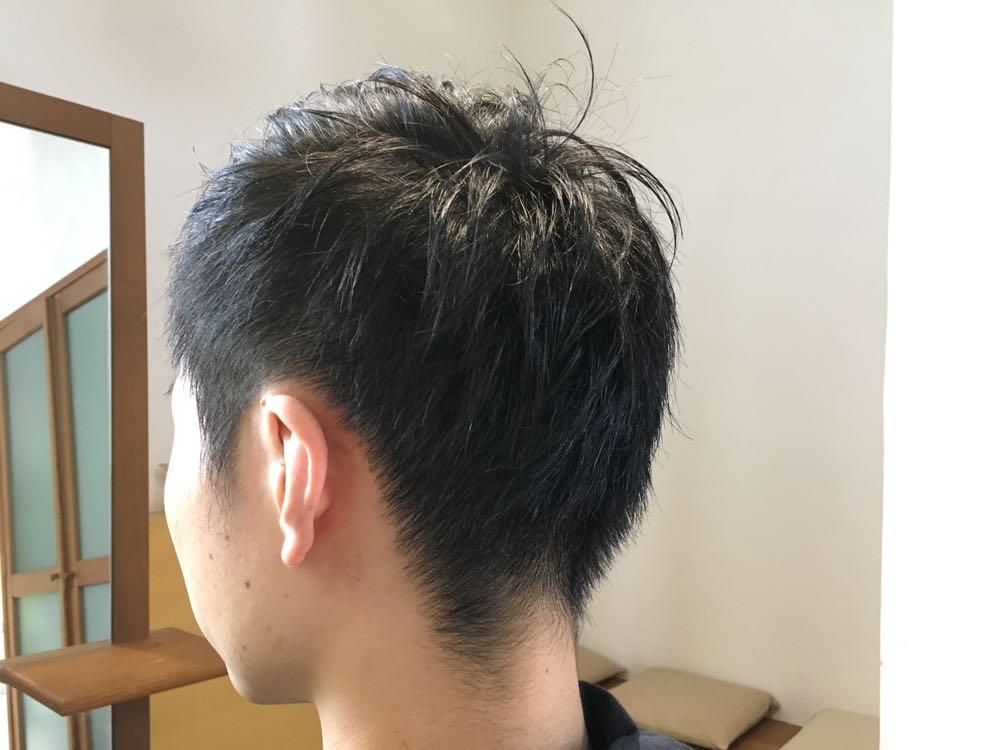 ぜいたく髪 細い メンズ 最高のヘアスタイルのアイデア