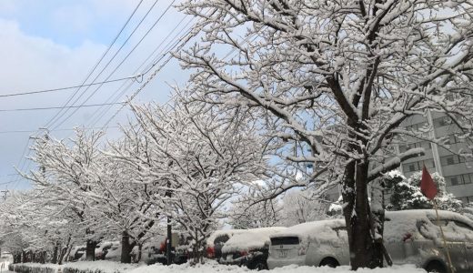 パソコンが壊れて、さぁ〜大変。