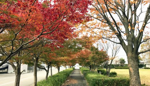 歯医者に行って来ました。なんで歯医者ってこんなに怖いのか？？