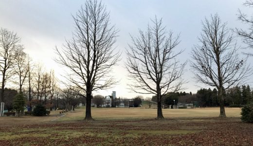 面白い様にスッパスパ切れるわ～。カットがうまくなったよう笑