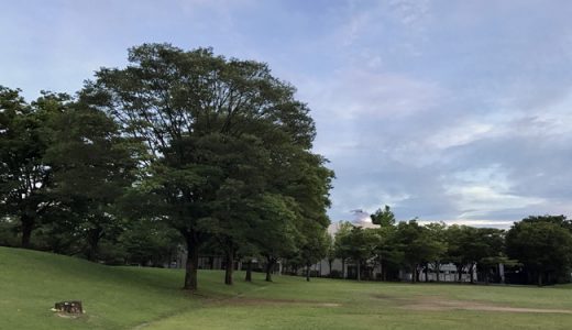 とっても夏らしい本日！セミの声全開でウキウキです～