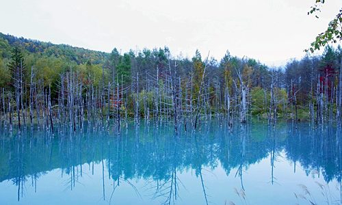 研修旅行のお知らせ。