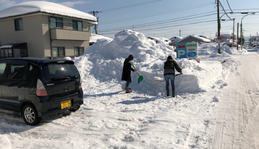 久しぶりの青空。このまま毎日この青空を見ていたい気分。