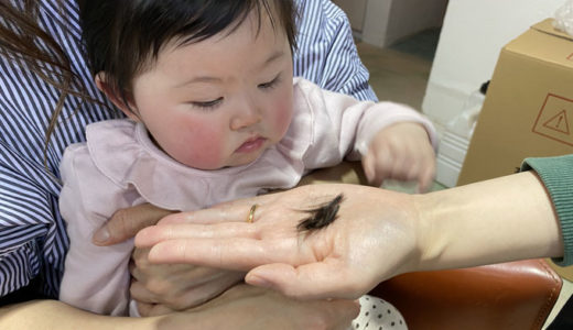 日曜日の本日もお店で作業のはずだったのが、お孫ちゃん乱入で作業できず笑