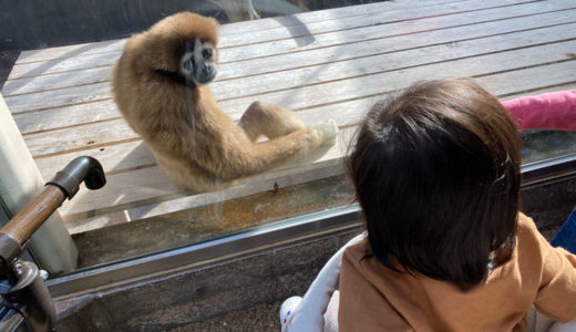 はじめての石川動物園が子供以上に楽しかったです笑