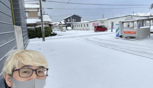 成人式も近いのにこの雪。当日はなんとか降らないで欲しいですね。