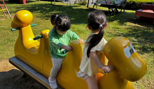 今日は最高の秋晴れで公園遊びを満喫して来ました。