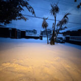 今年のお正月休みはゆっくりした時間を過ごしています。